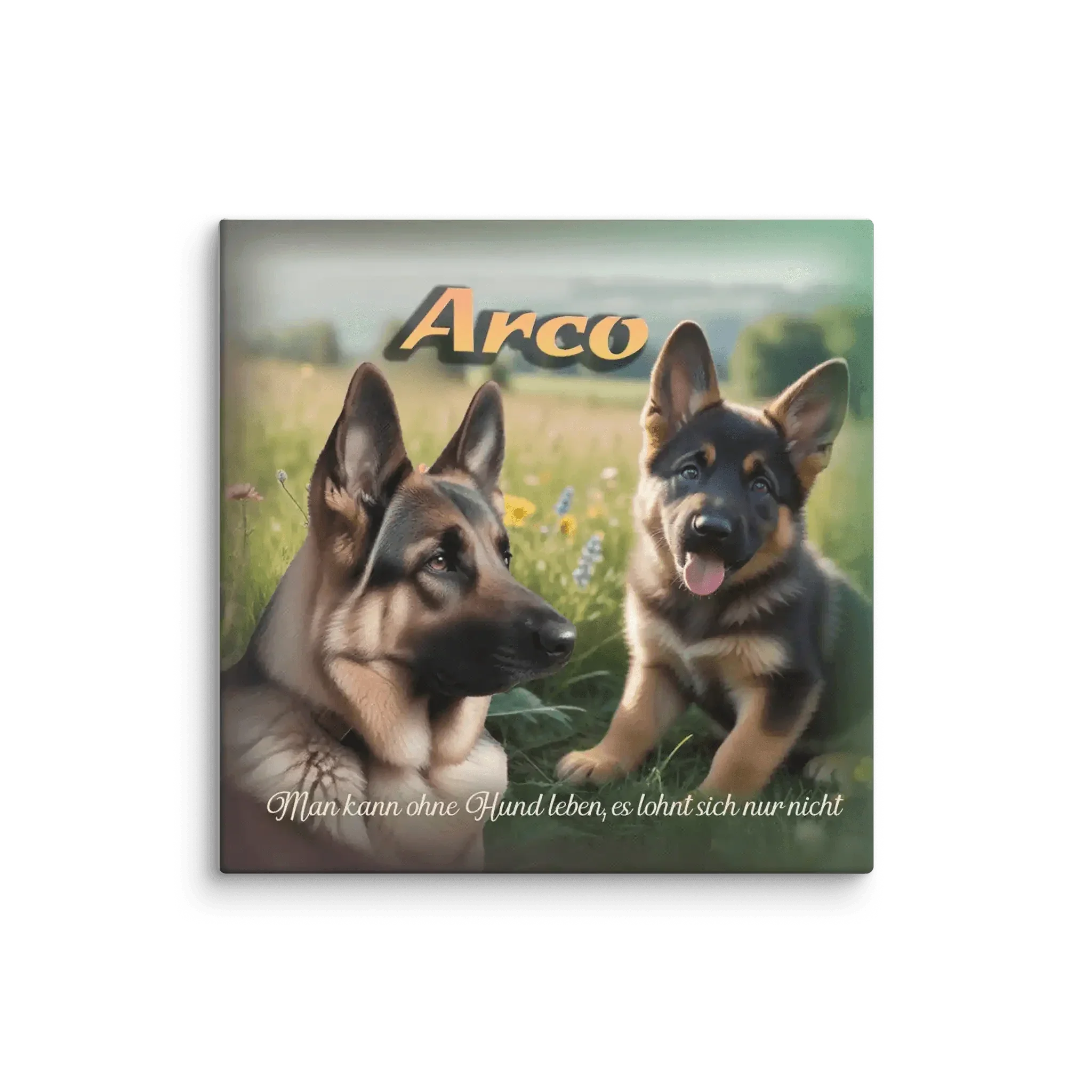 Leinwand mit zwei Deutschen Schäferhunden auf Wiese, Schriftzug Arco, Spruch unten