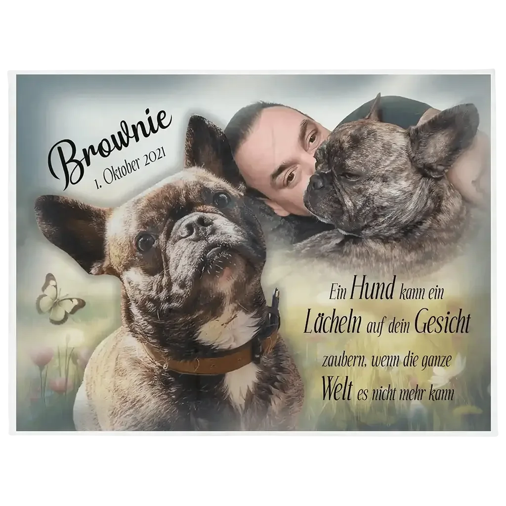 Person mit brauner Französischen Bulldogge Brownie, Wiese, Schmetterlinge, Gedenkdecke