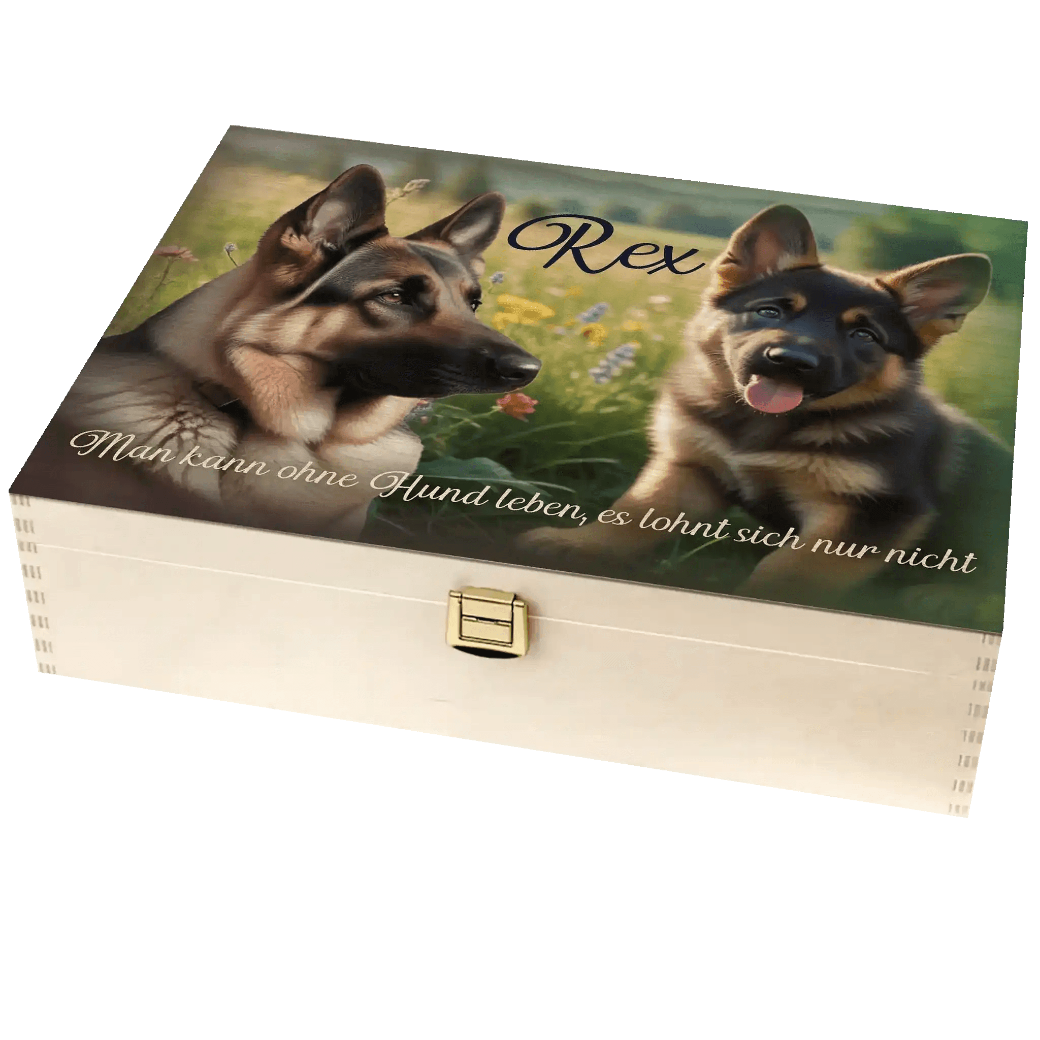 Originelle Holzbox für Hundefreunde mit Fotos des Hundes, Name und nettem Zitat