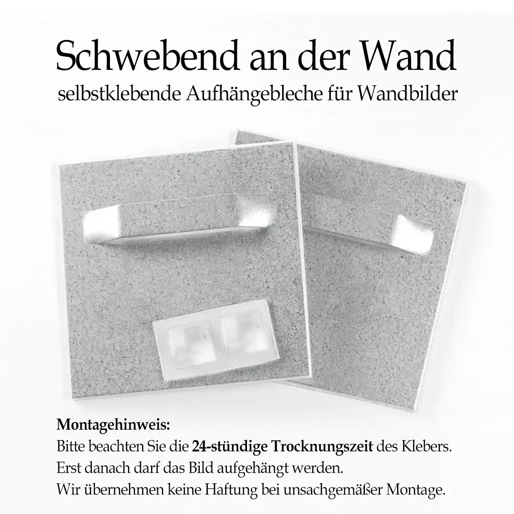 Schwebend an der Wand selbstklebende Aufhängebleche für Wandbilder ideal für einfache Montage und dauerhafte Stabilität.